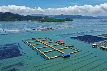 宿州海璟養(yǎng)殖