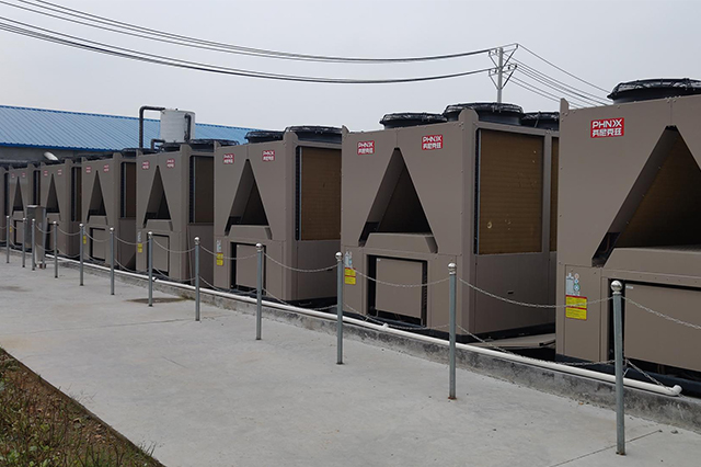 雞舍取暖的最簡單方法 