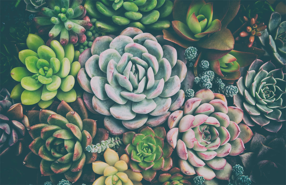  補貼政策助力空氣能熱泵烘干產業進入發展黃金時期