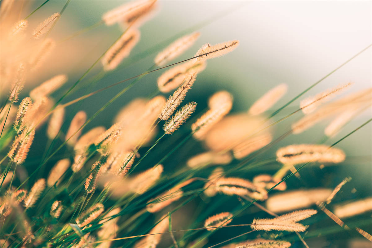 從“供給側改革”看空氣能熱泵行業發展