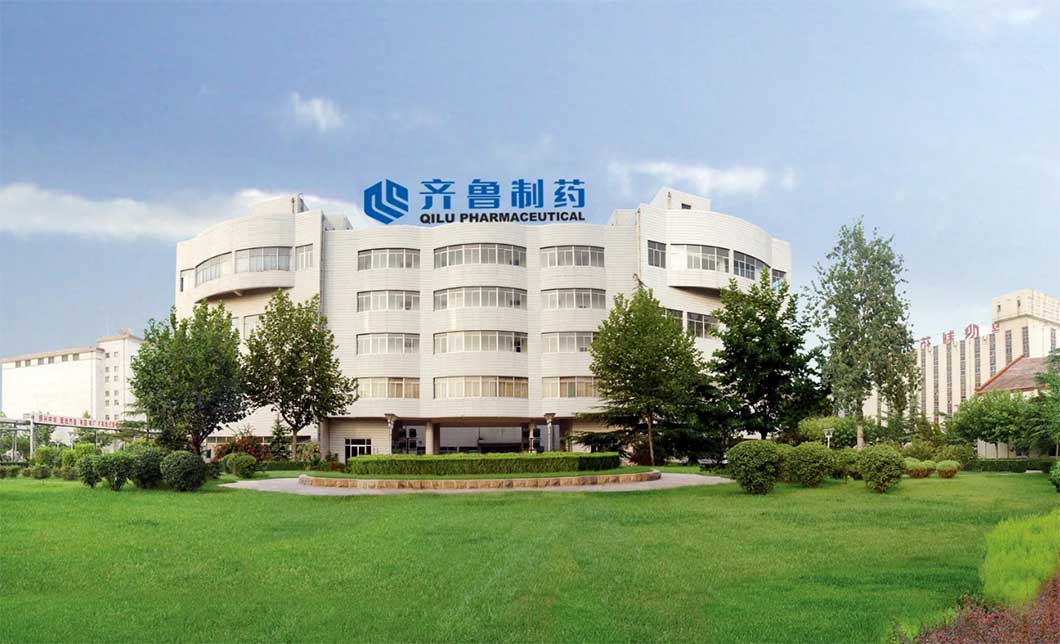 山東齊魯制藥污泥干化項目工業污泥項目